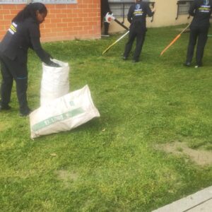 Servicio de Jardineria